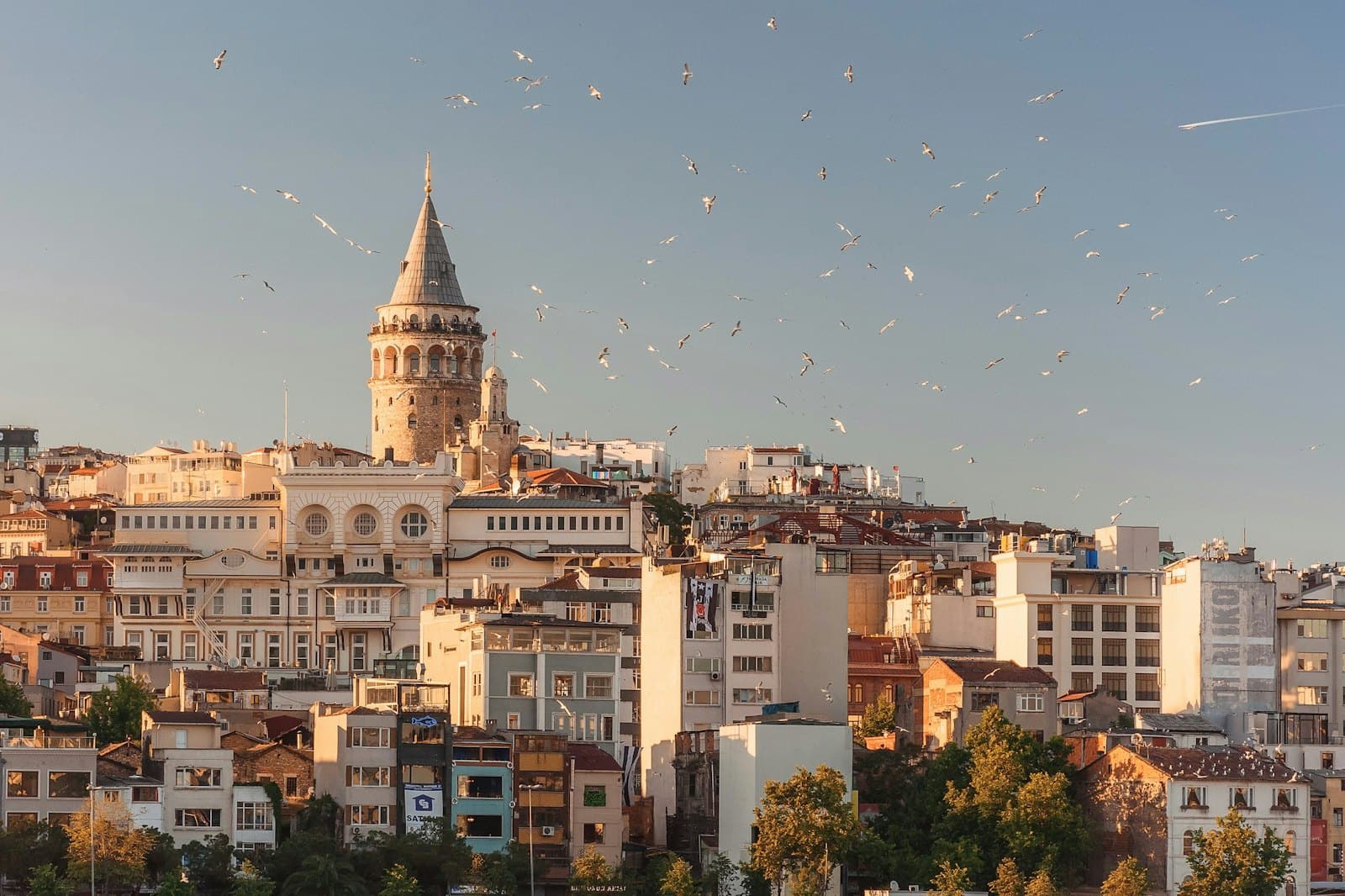 Golden-hour view over Istanbul rooftops with the Galata Tower and birds in flight
